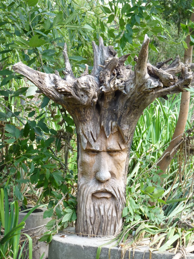 Foto: Reserva ecológica Guillermo Hudson. - Hudson (Buenos Aires), Argentina