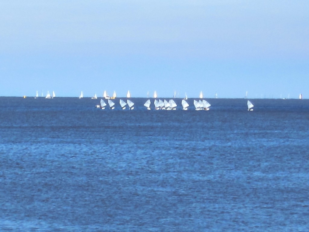 Foto: Regatas - Olivos (Buenos Aires), Argentina