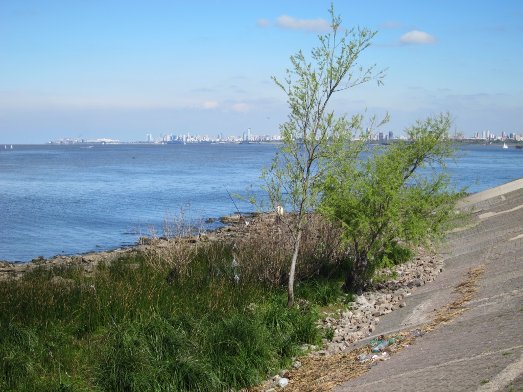 Foto: Paseo de la costa - Olivos (Buenos Aires), Argentina
