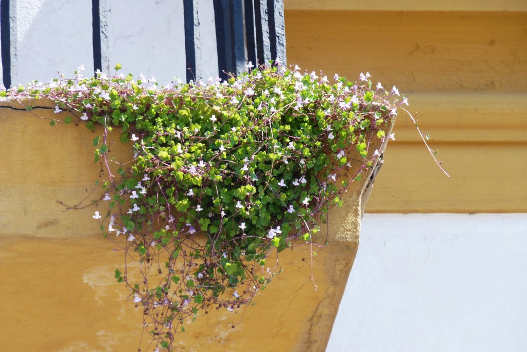 Foto: Museo - Luján (Buenos Aires), Argentina