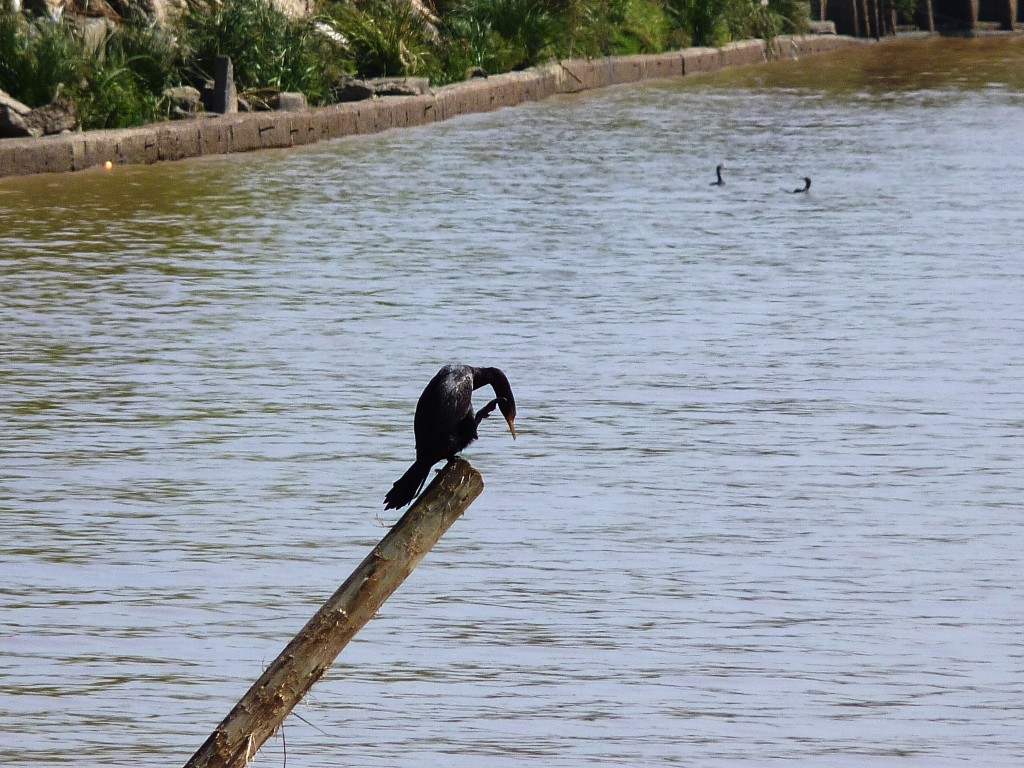 Foto: Balneario de San Fernando - Tigre (Buenos Aires), Argentina