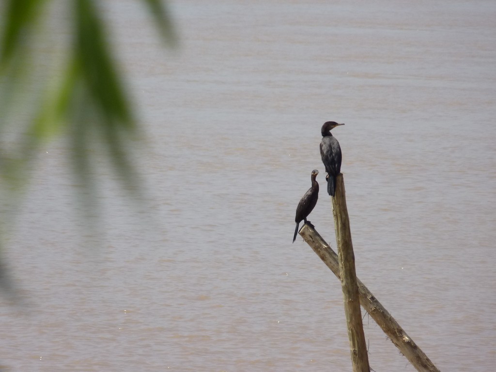 Foto: Balneario de San Fernando - Tigre (Buenos Aires), Argentina