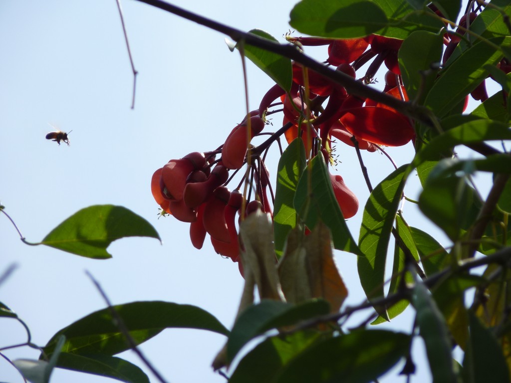 Foto: Balneario de San Fernando - Tigre (Buenos Aires), Argentina
