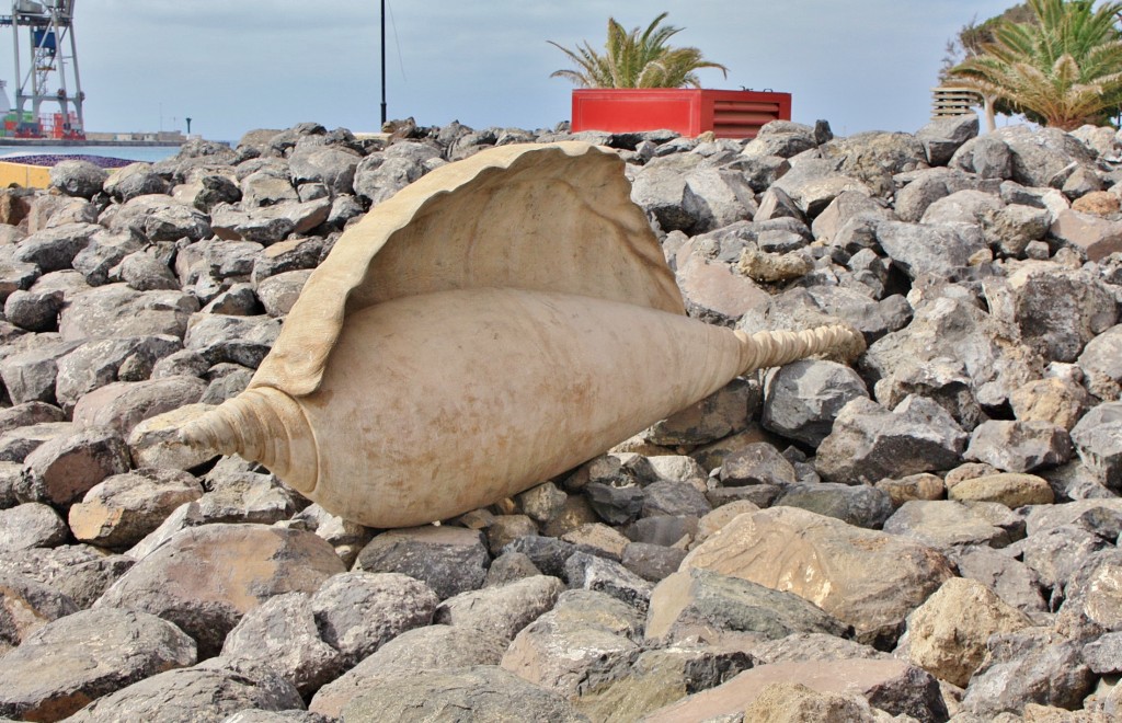 Foto: Escultura - Puerto del Rosario (Fuerteventura) (Las Palmas), España