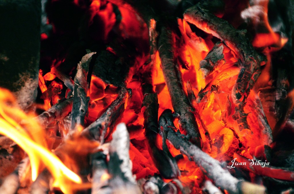 Foto de Caño Negro (Alajuela), Costa Rica