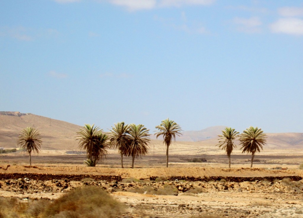 Foto: Paisaje - Antigua (Fuerteventura) (Las Palmas), España