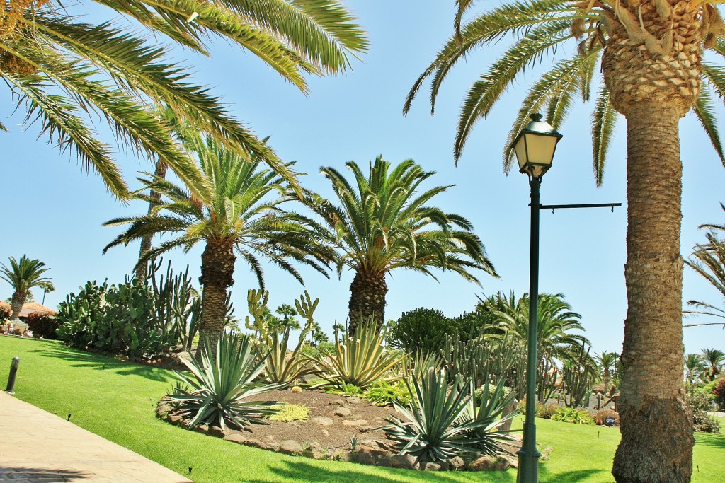 Foto: Castillo Caleta de Fuste - Antigua (Fuerteventura) (Las Palmas), España