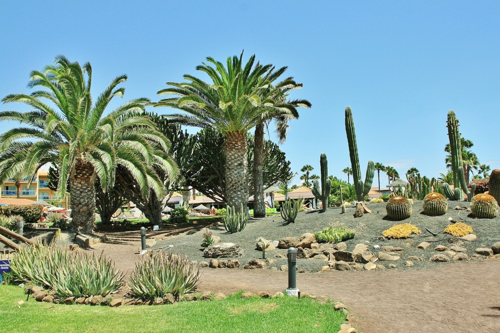 Foto: Castillo Caleta de Fuste - Antigua (Fuerteventura) (Las Palmas), España