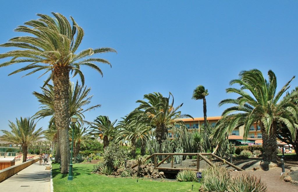 Foto: Castillo Caleta de Fuste - Antigua (Fuerteventura) (Las Palmas), España