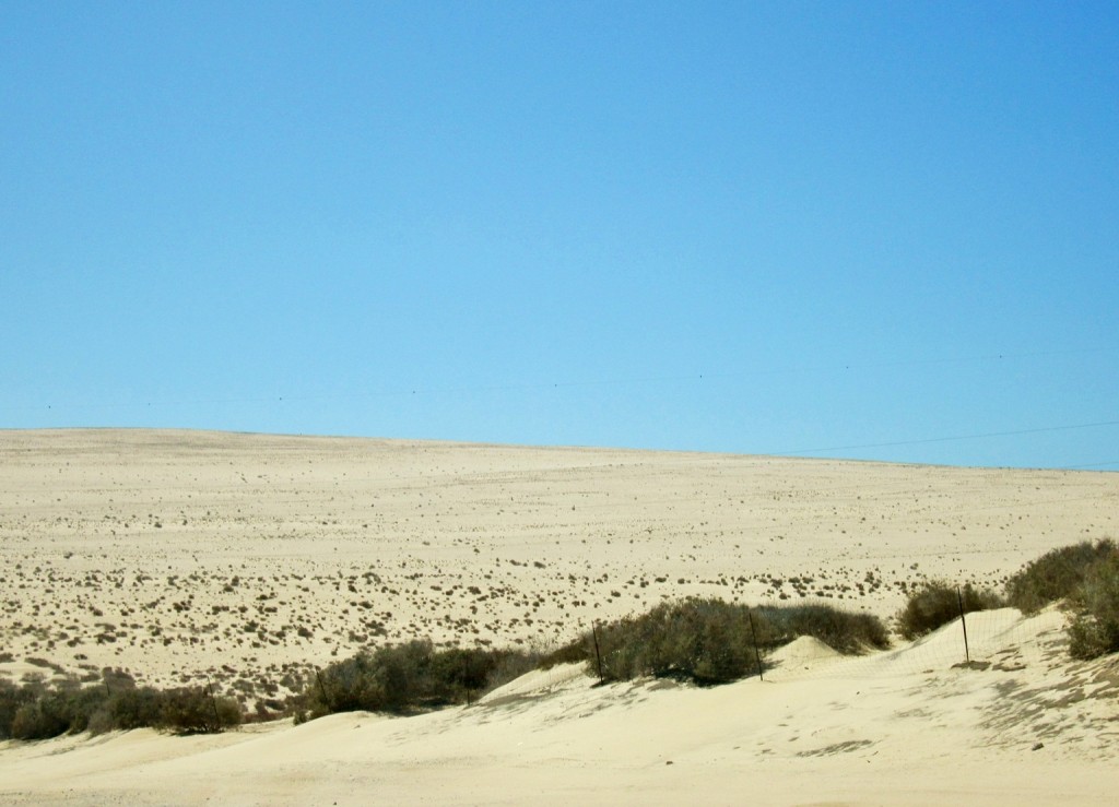 Foto: Paisaje - Antigua (Fuerteventura) (Las Palmas), España