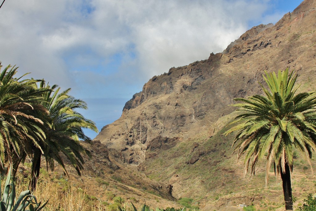 Foto: Paisaje - Masca (Santa Cruz de Tenerife), España