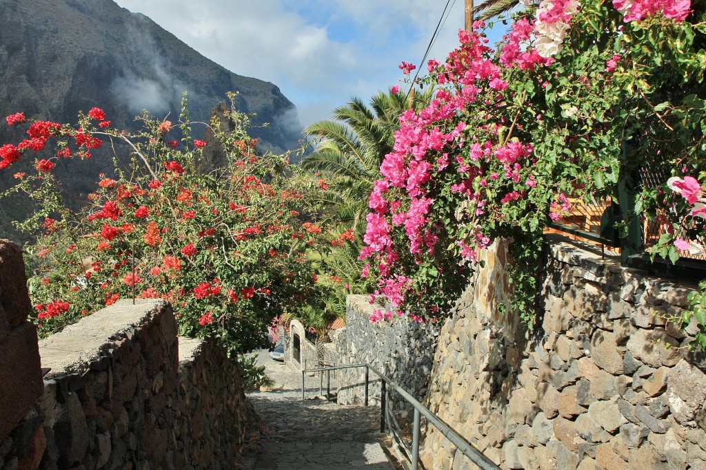 Foto: Vista del pueblo - Masca (Santa Cruz de Tenerife), España