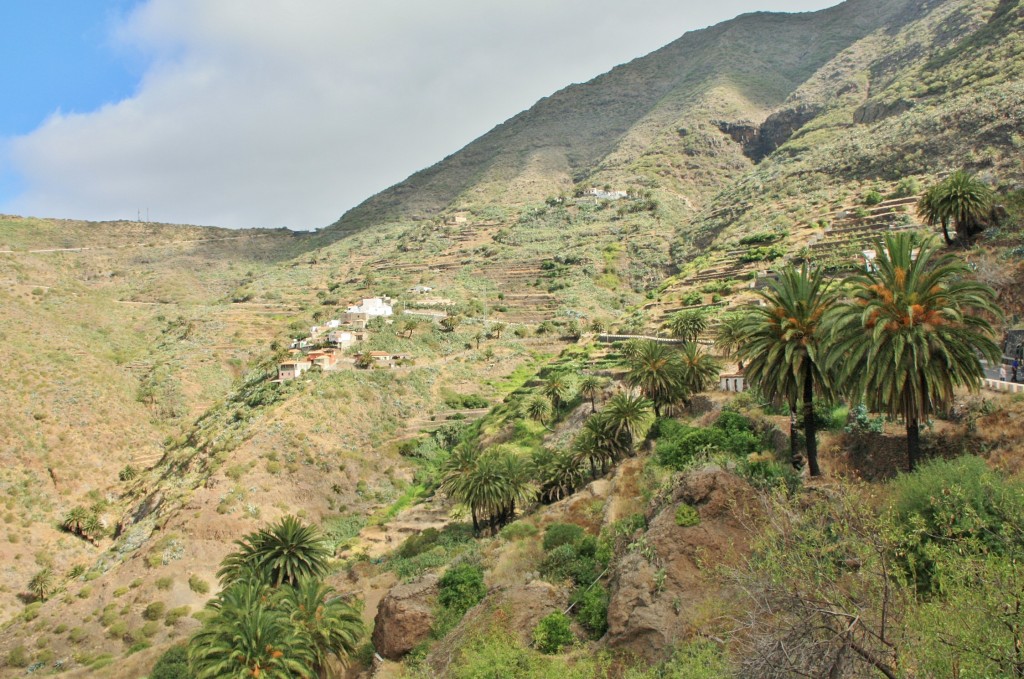 Foto: Paisaje - Masca (Santa Cruz de Tenerife), España