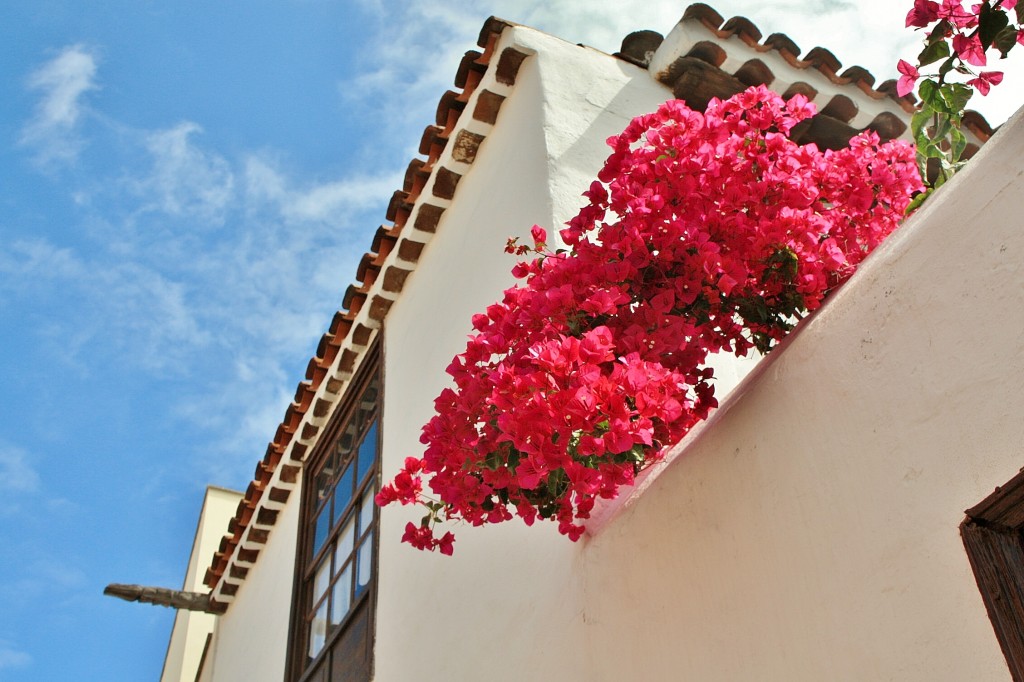 Foto: Centro histórico - Buenavista (Santa Cruz de Tenerife), España