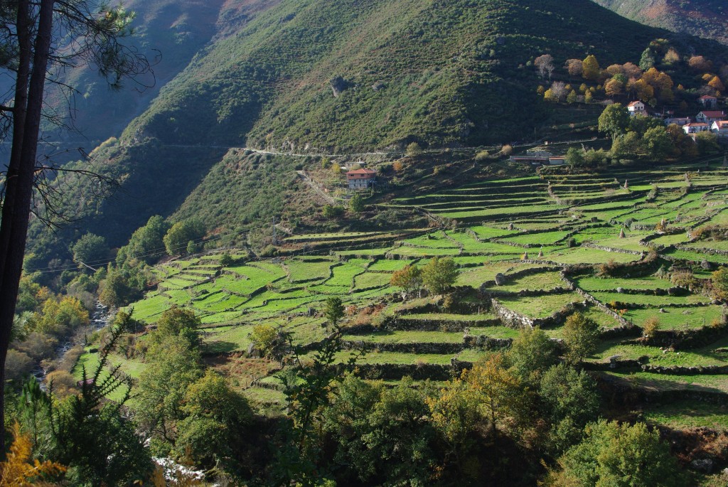 Foto de Gavieira (Viana do Castelo), Portugal