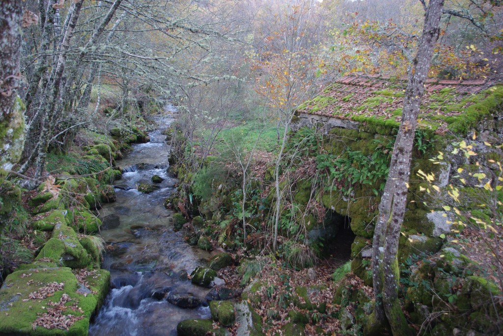 Foto de Castro Laboreiro (Viana do Castelo), Portugal