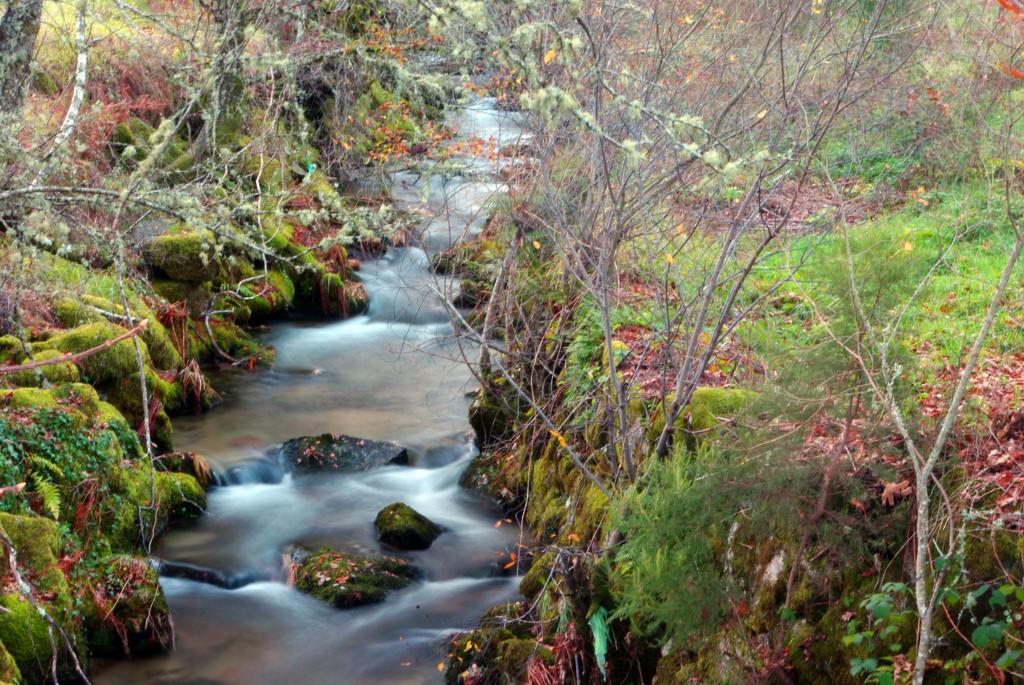 Foto de Castro Laboreiro (Viana do Castelo), Portugal