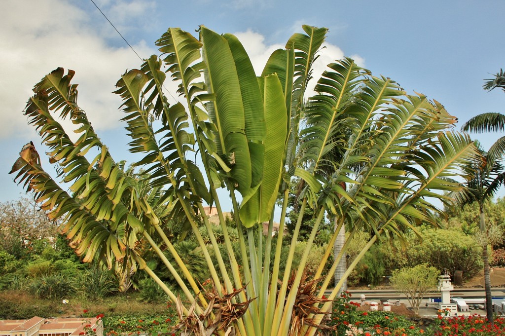 Foto: Pueblo Chico - La Orotava (Santa Cruz de Tenerife), España