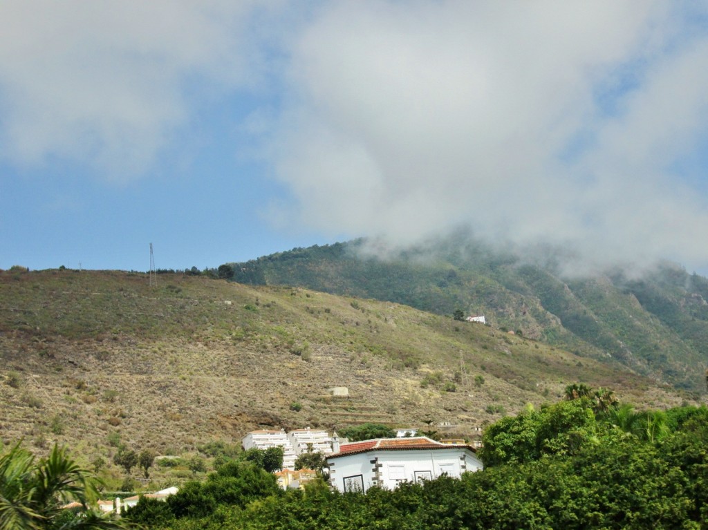 Foto: Vistas - Tacoronte (Santa Cruz de Tenerife), España