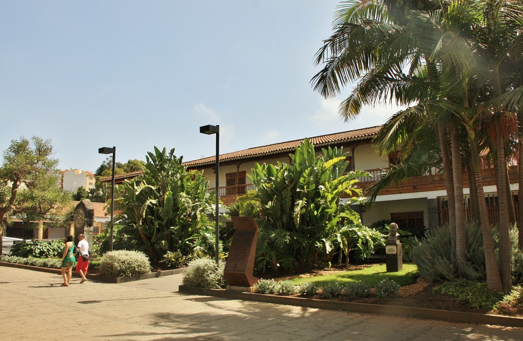 Foto: Vista del pueblo - Tacoronte (Santa Cruz de Tenerife), España