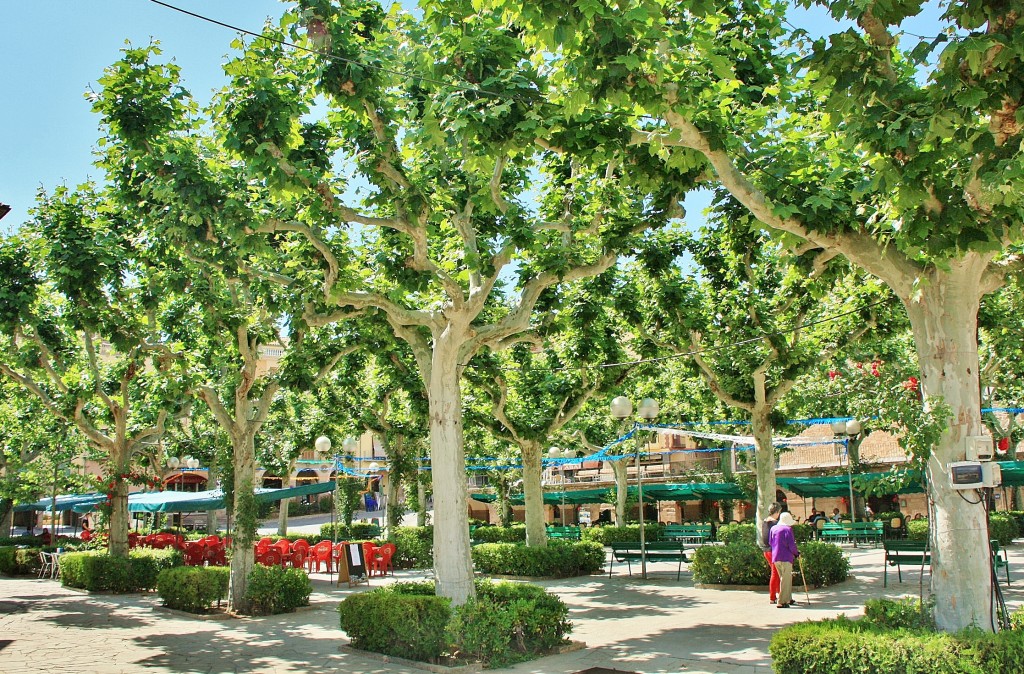 Foto: Centro histórico - Cardona (Barcelona), España