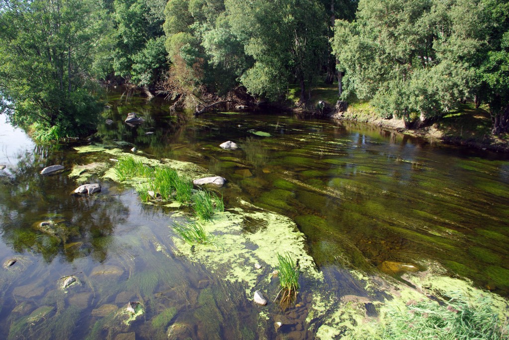 Foto de Lugo (Galicia), España