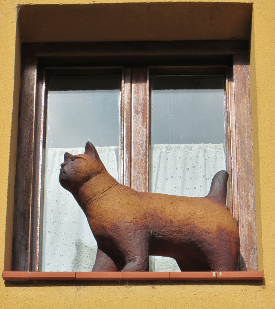 Foto: Gatito - Santa Gadea del Cid (Burgos), España