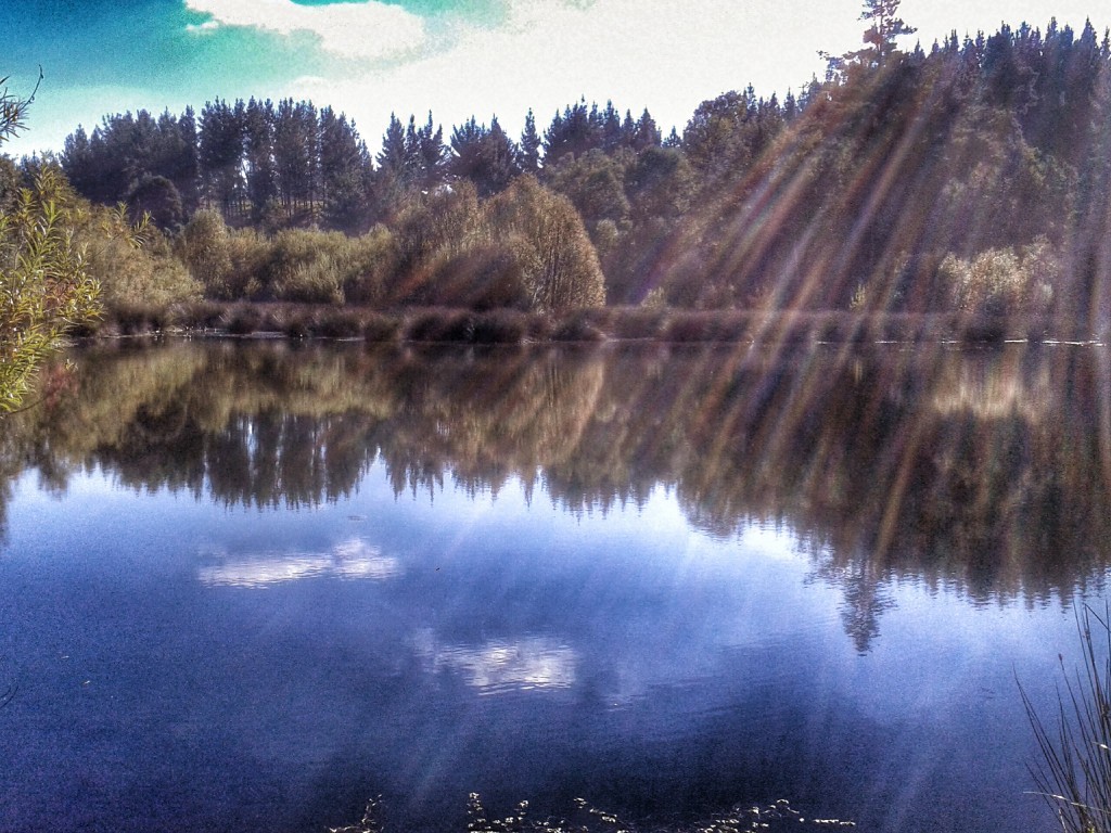 Foto: Laguna - Temuco (Araucanía), Chile