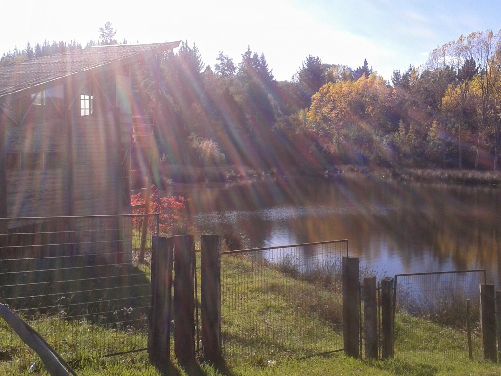 Foto: Laguna - Temuco (Araucanía), Chile