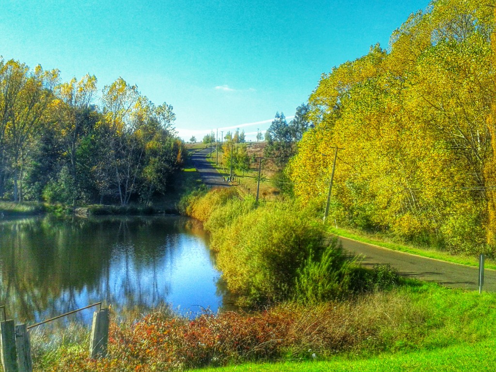 Foto: Camino rural - Temuco (Araucanía), Chile
