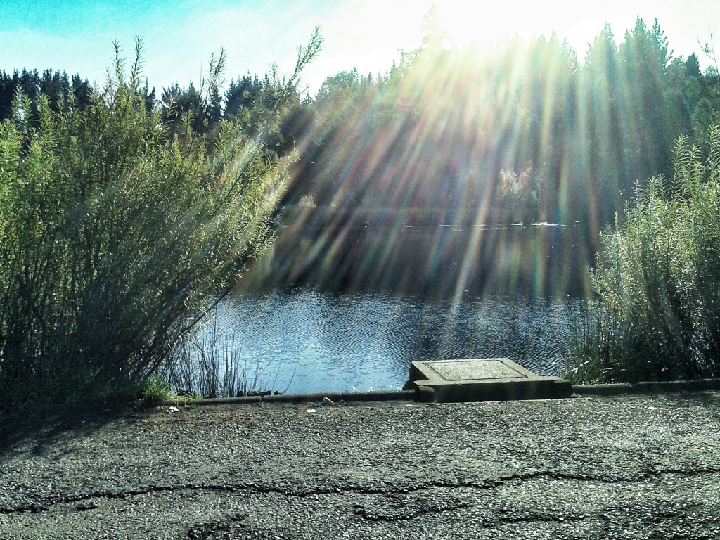 Foto: Laguna - Temuco (Araucanía), Chile