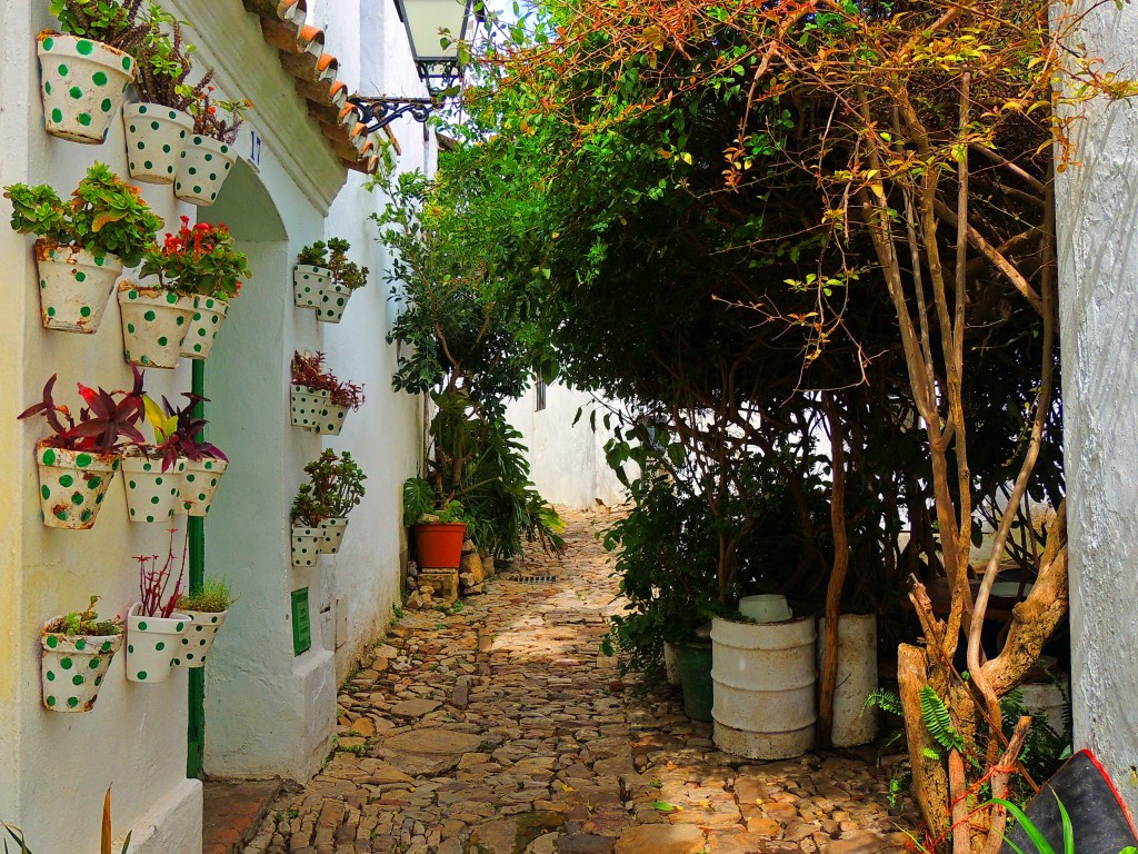 Foto: Villa-Fortaleza - Castellar de la Frontera (Cádiz), España