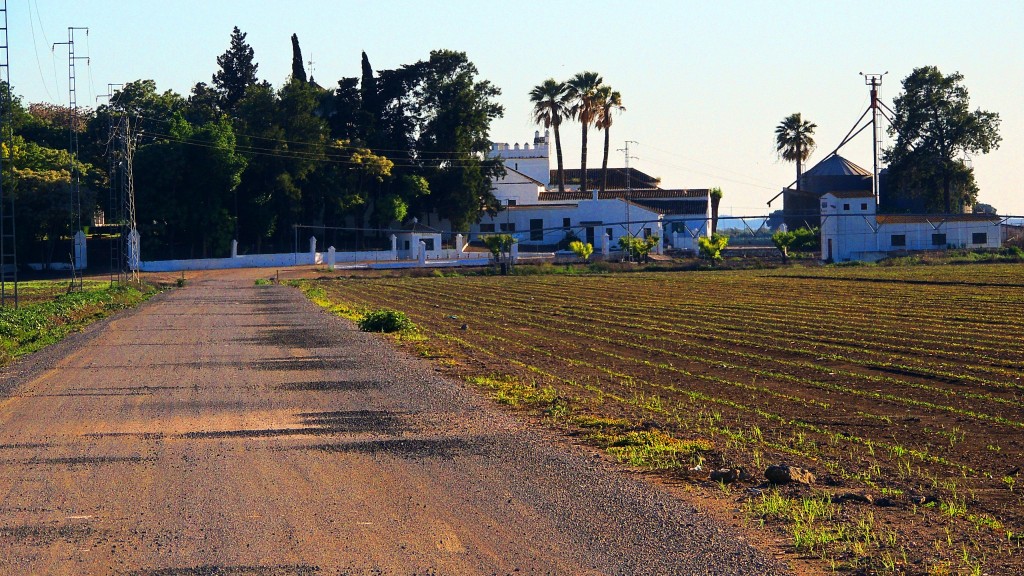 Foto: Torremarísma - Trajano (Sevilla), España