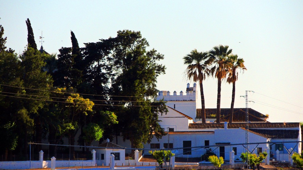 Foto: Torremarísma - Trajano (Sevilla), España