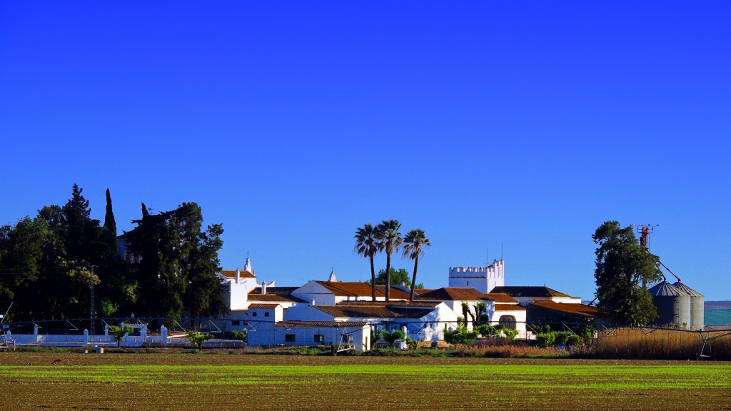 Foto: Torremarísma - Trajano (Sevilla), España