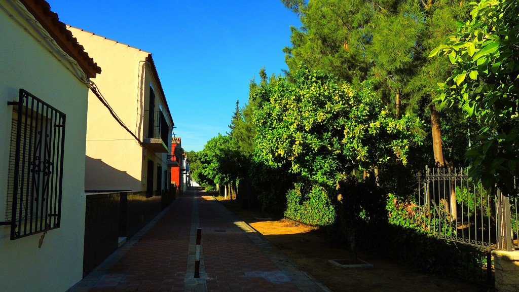 Foto: Calle Espejos - Trajano (Sevilla), España