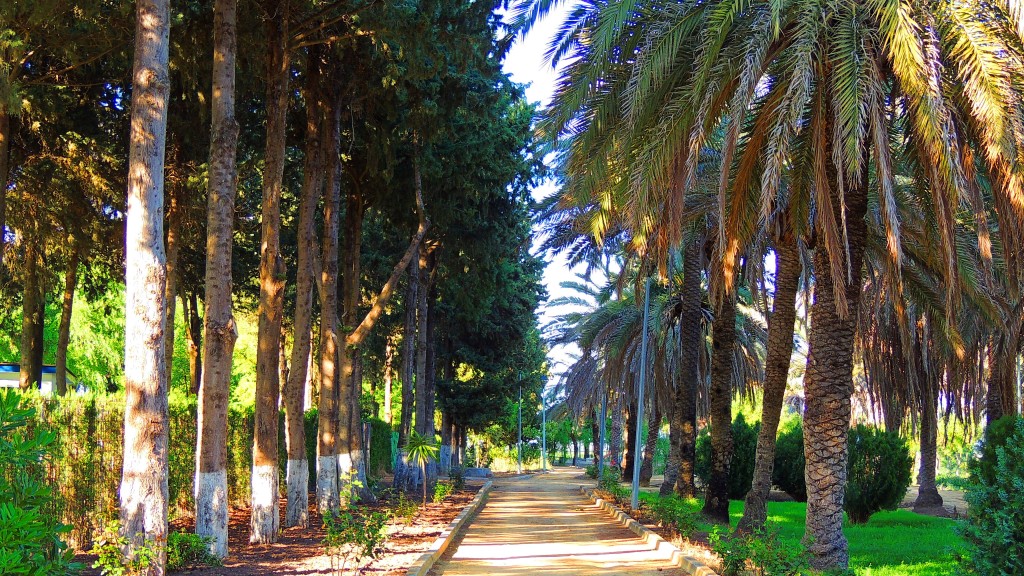 Foto: El Parque - Trajano (Sevilla), España