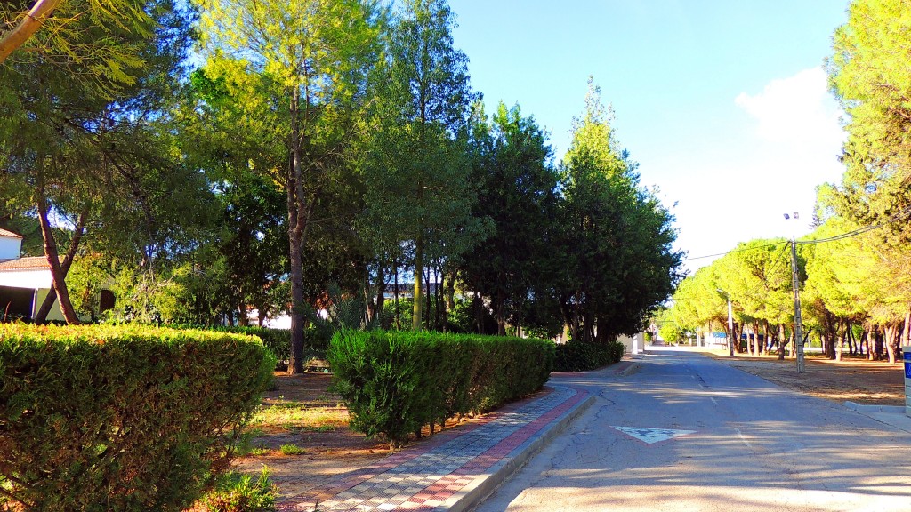 Foto: El Parque - Trajano (Sevilla), España