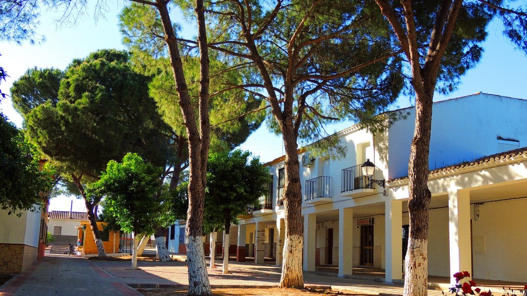 Foto: Calle Feria - Trajano (Sevilla), España