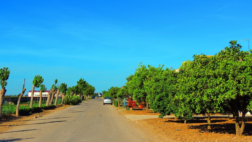 Foto: Ronda del Rocio - Trajano (Sevilla), España