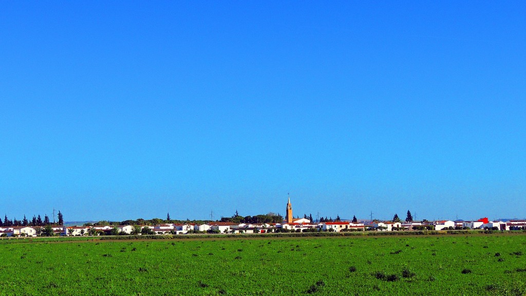 Foto: Vistas - Trajano (Sevilla), España