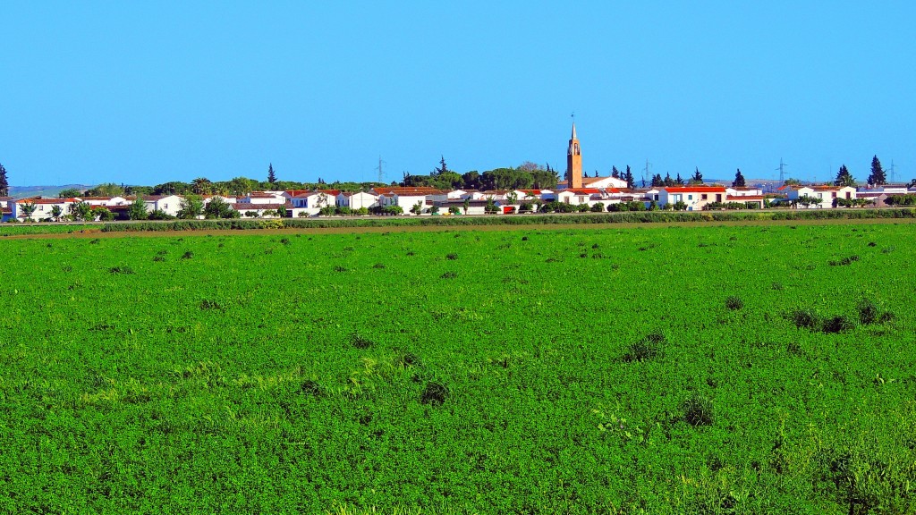 Foto: Vistas - Trajano (Sevilla), España