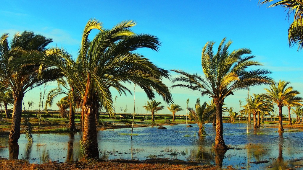 Foto de Sacramento (Sevilla), España