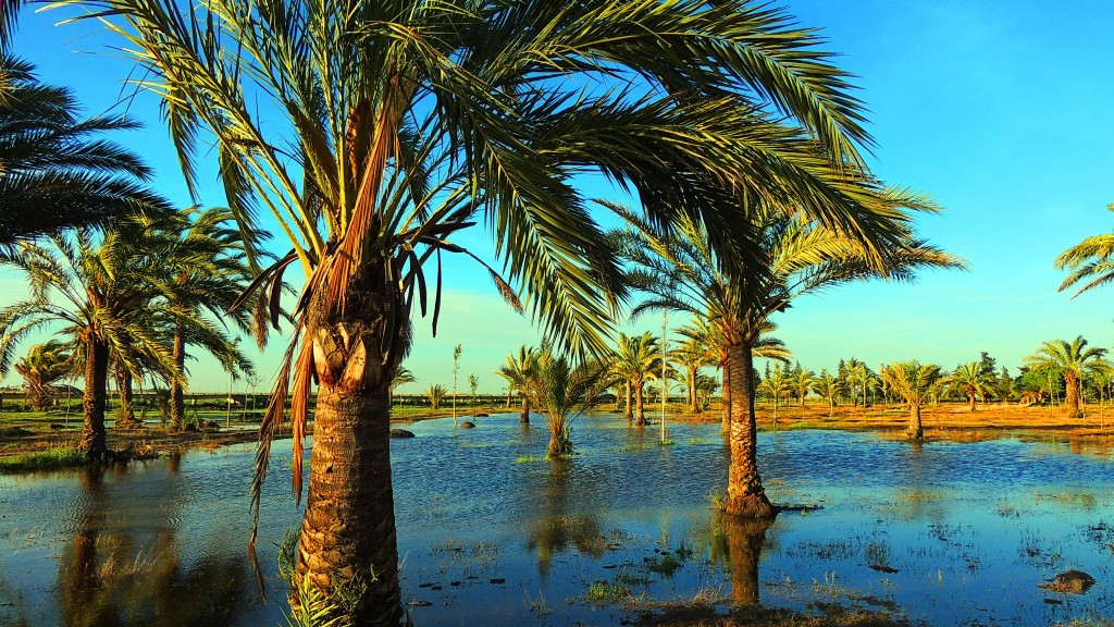Foto de Sacramento (Sevilla), España