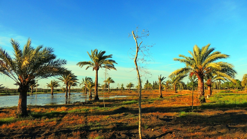 Foto de Sacramento (Sevilla), España