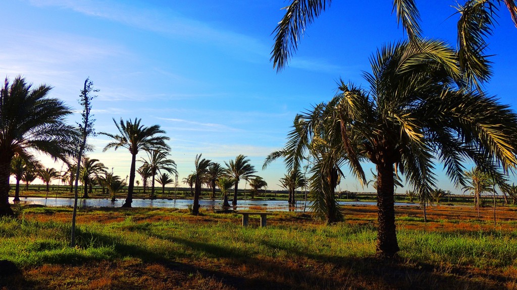 Foto de Sacramento (Sevilla), España