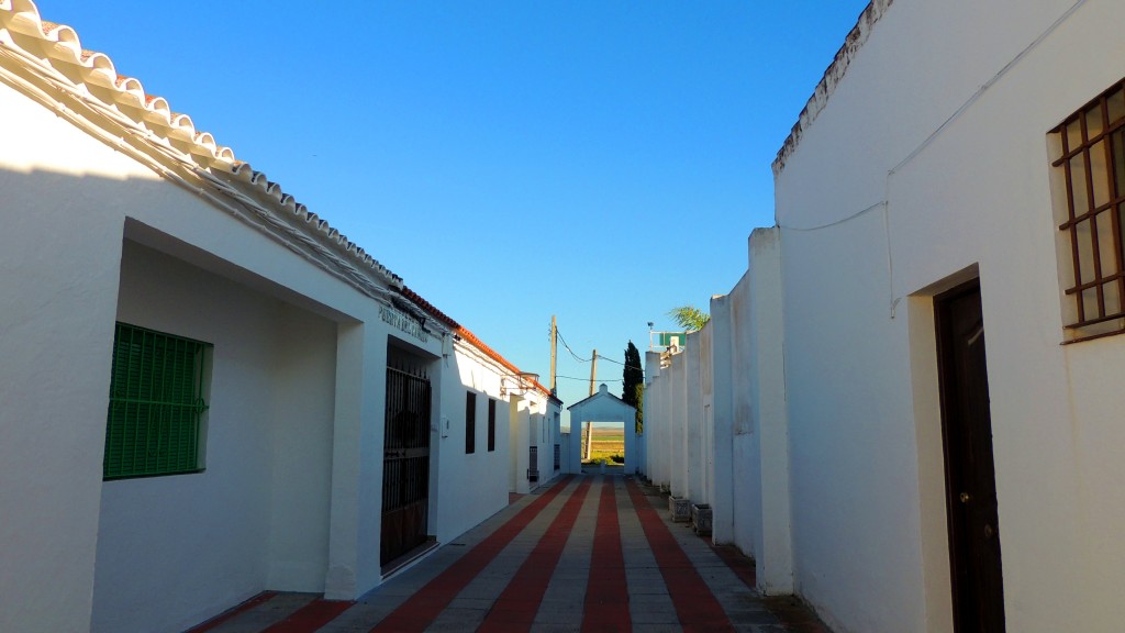 Foto: Calle dela Puerta del Camino - Sacramento (Sevilla), España