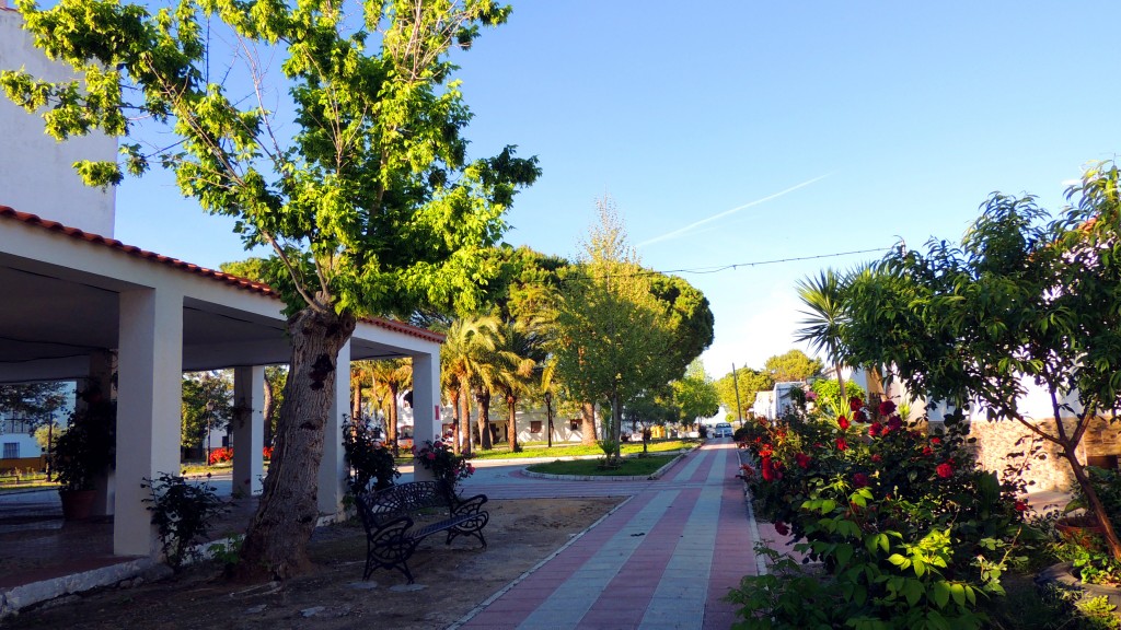 Foto: Calle Amor de Dios - Sacramento (Sevilla), España