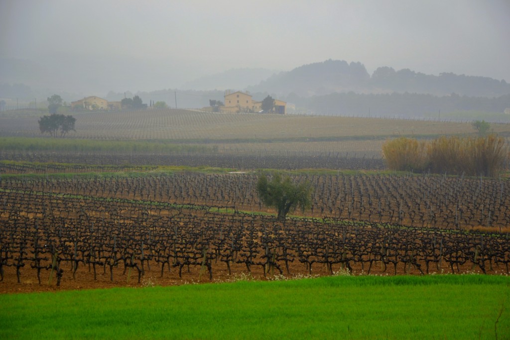 Foto: Dia de lluvia. - Sant Martí Sarroca (Barcelona), España