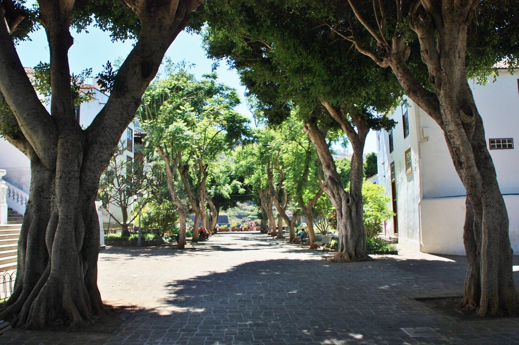 Foto: Centro histórico - Icod de los Vinos (Santa Cruz de Tenerife), España